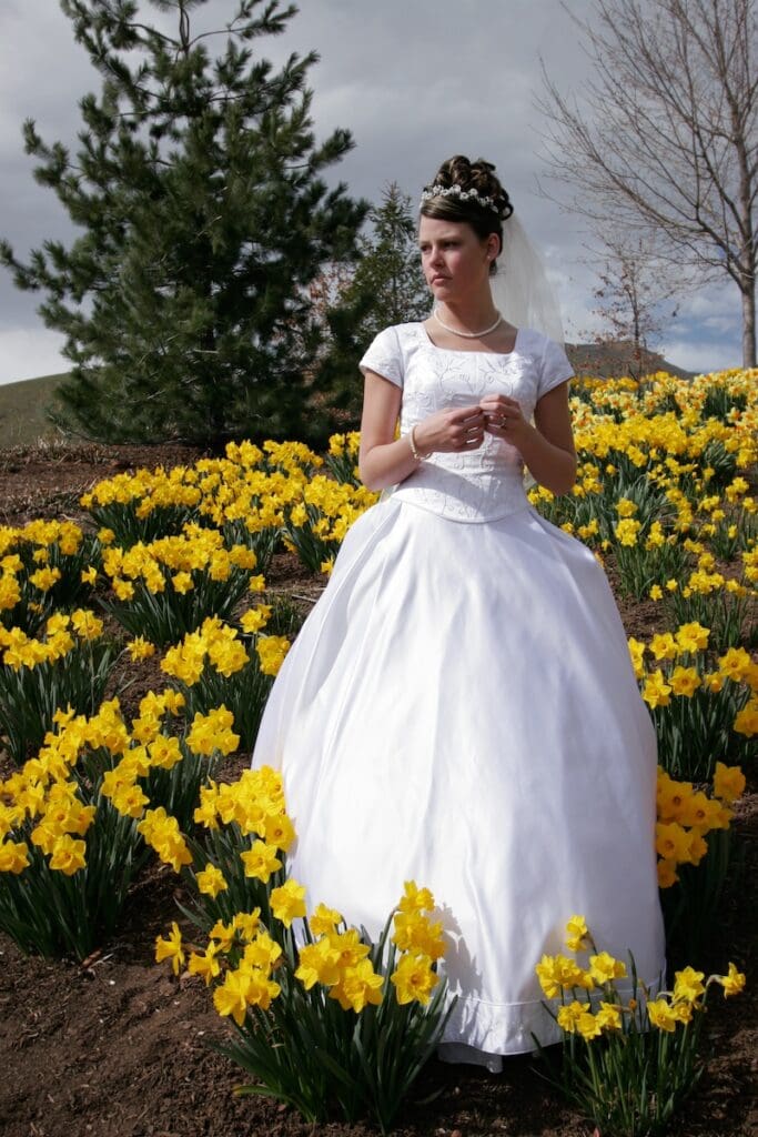 A white wedding dress stands out beautifully among vibrant yellow daffodils blooming in a spring garden.